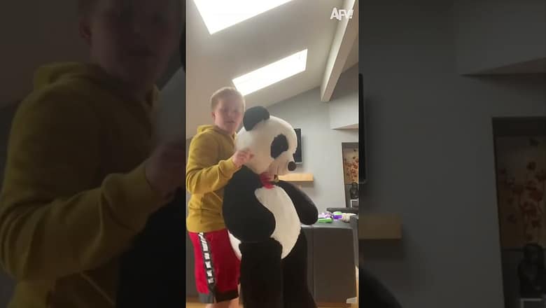 Poor Panda :( #shorts #shortsvideo #shortsfeed #panda #cuteanimals