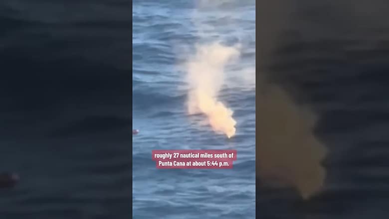 Royal Caribbean passenger survives after falling overboard from 10th deck #shorts