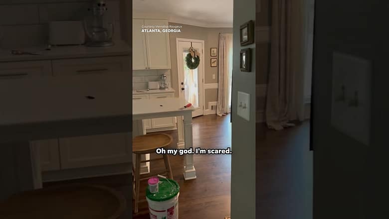 ‘There’s a vulture in the house!’ Couple shocked to see vulture on their couch #Shorts