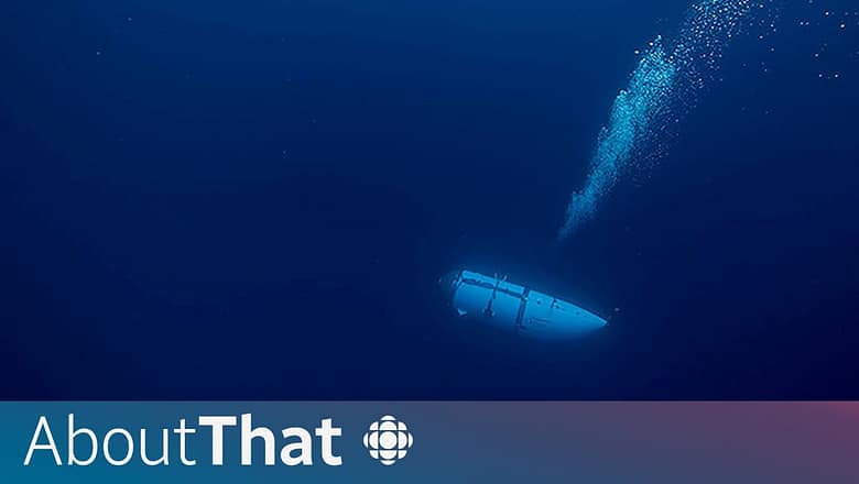 Titanic tourist submersible destroyed: How it happened | About That