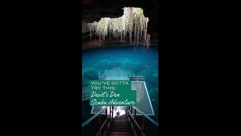 You’ve Gotta Try: Diving Devil’s Den with Visit Florida