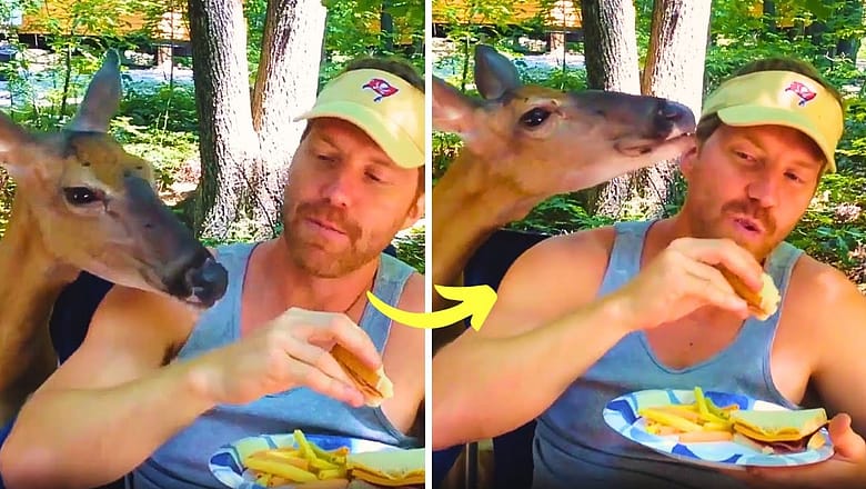 Camping Catastrophes: Hilarious Outdoor Fails!