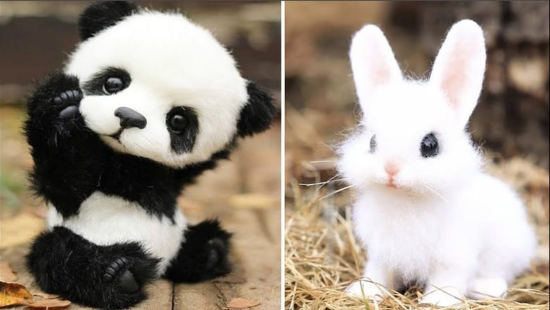 Cute Baby Animals Videos Compilation | Funny and Cute Moment of the Animals #2 – Cutest Animals