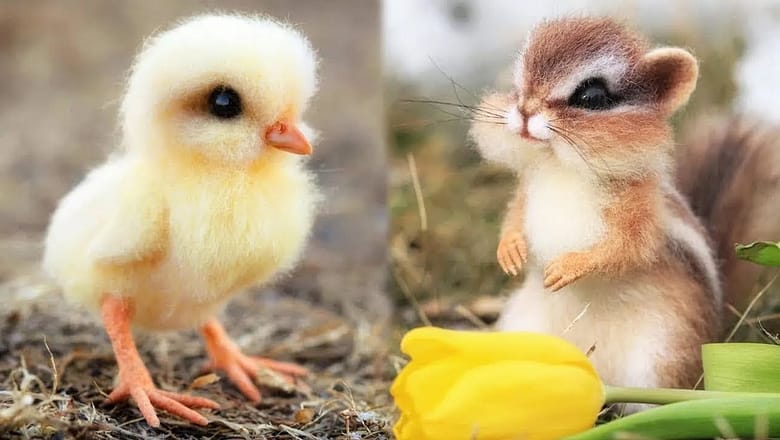 Cute Baby Animals Videos Compilation | Funny and Cute Moment of the Animals #3 – Cutest Animals
