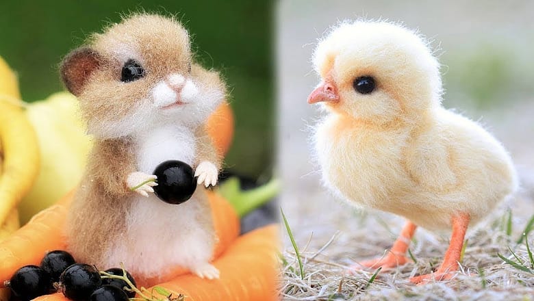 Cute Baby Animals Videos Compilation | Funny and Cute Moment of the Animals #1 – Cutest Animals