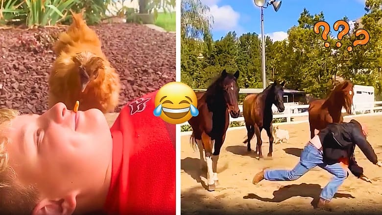Farm Life Isn’t For Everyone! | Best Farm Fails