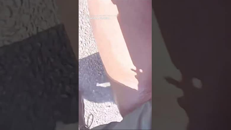 ‘Get back here!’: Police officer chases man down after alleged theft #Shorts