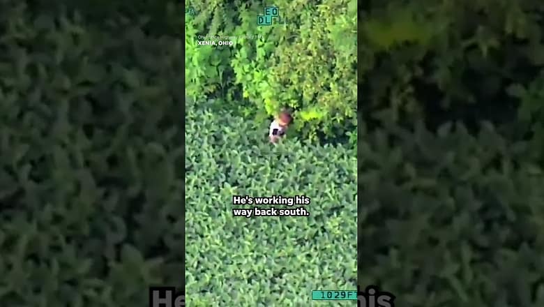 Helicopter unit helps reunite missing 4-year-old with family #Shorts