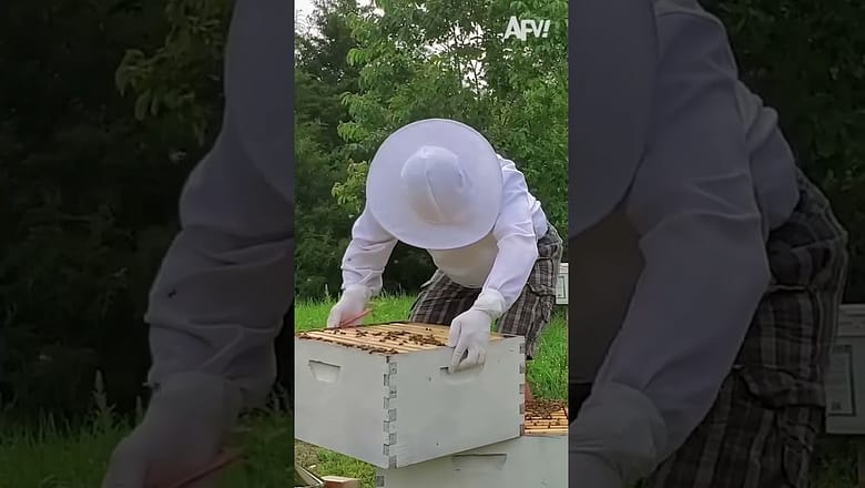 Save the bees, protect your knees #shorts