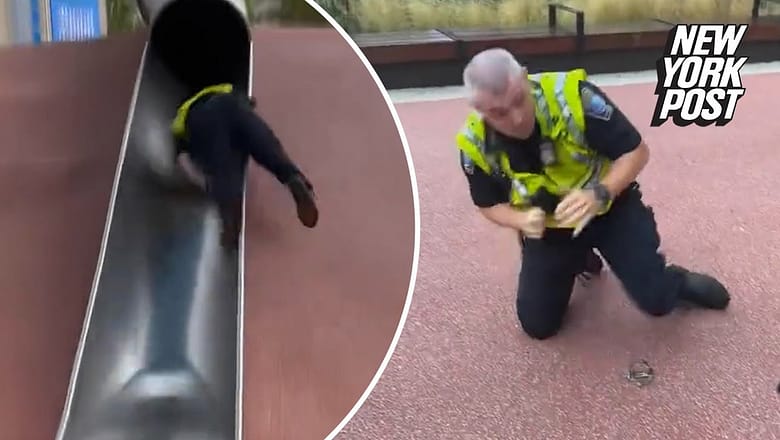 Boston cop violently launched off massive park slide in viral video