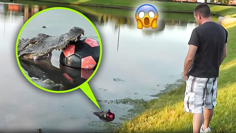 Funniest Football Fail Moments!