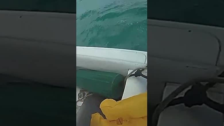 ‘I’m alive’: Pilot is rescued by sheriff’s deputy after ocean crash #Shorts