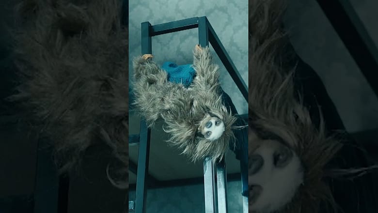 Killer Sloth On The Loose!