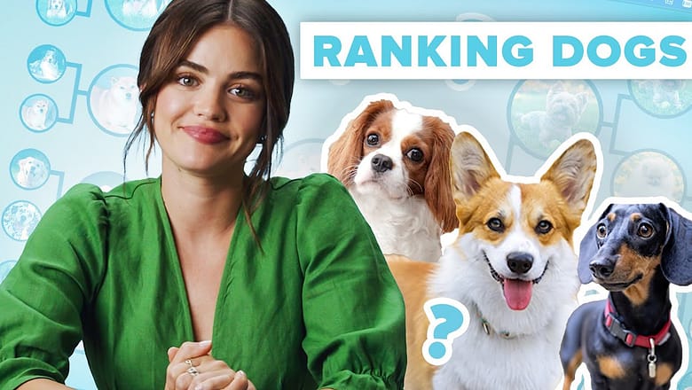 Lucy Hale Ranks The Cutest Dog Breeds