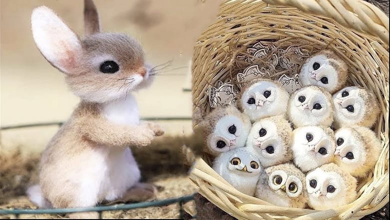 New Cute Baby Animals Videos Compilation | Funny and Cute Moment of the Animals #1 – Cutest Animals