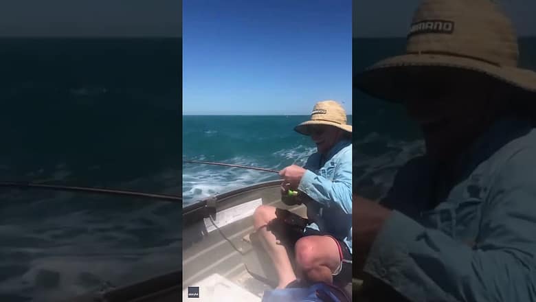 Whale breach is ‘a little bit too close for comfort’ #Shorts