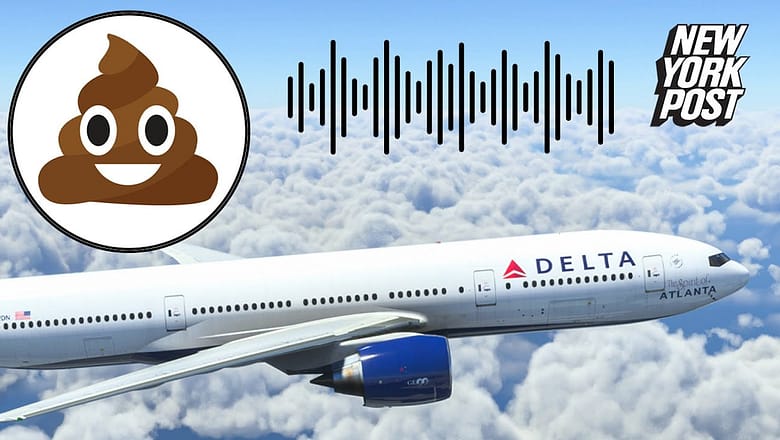 Delta flight forced into emergency landing by passenger’s diarrhea: ‘This is a biohazard’