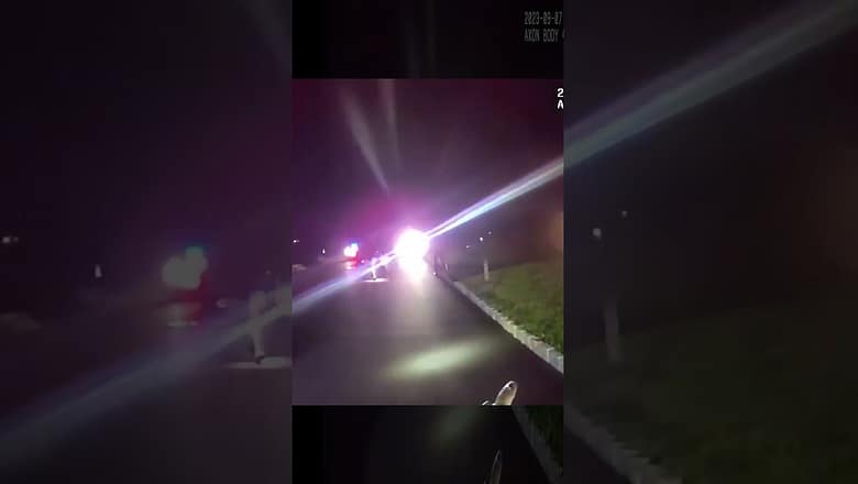 Gator captured after creeping around New Jersey neighborhood for weeks #Shorts