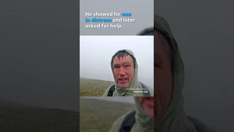 Lost hiker rescued after asking for help on live bear cam on mountain #Shorts