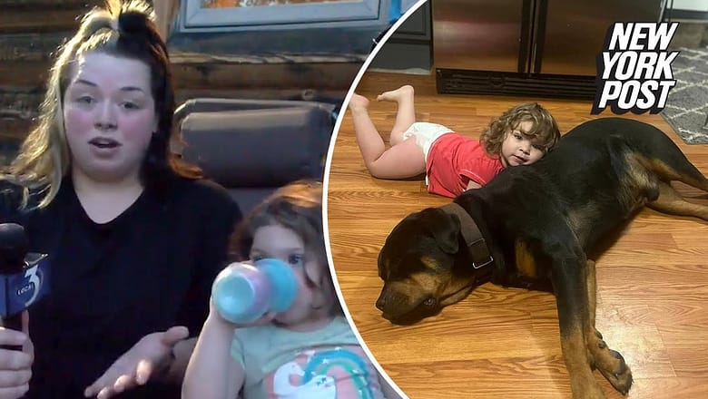 Michigan toddler lost in the woods found asleep using family dog as pillow