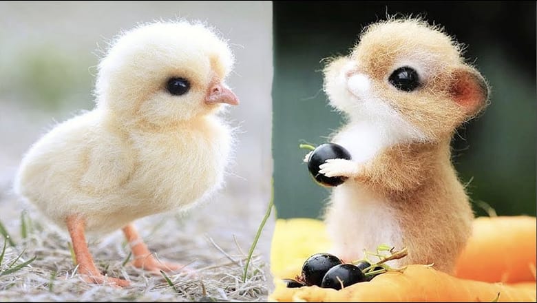 New Cute Baby Animals Videos Compilation | Funny and Cute Moment of the Animals #3 – Cutest Animals
