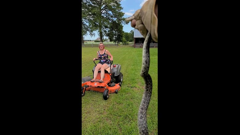 Relax, it’s just a snake? #reptiles #fail