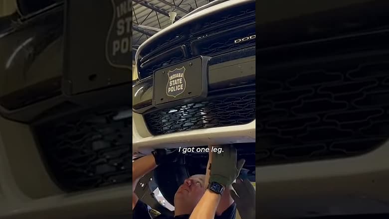 Troopers save adorable kitten stuck behind police car’s grille #Shorts