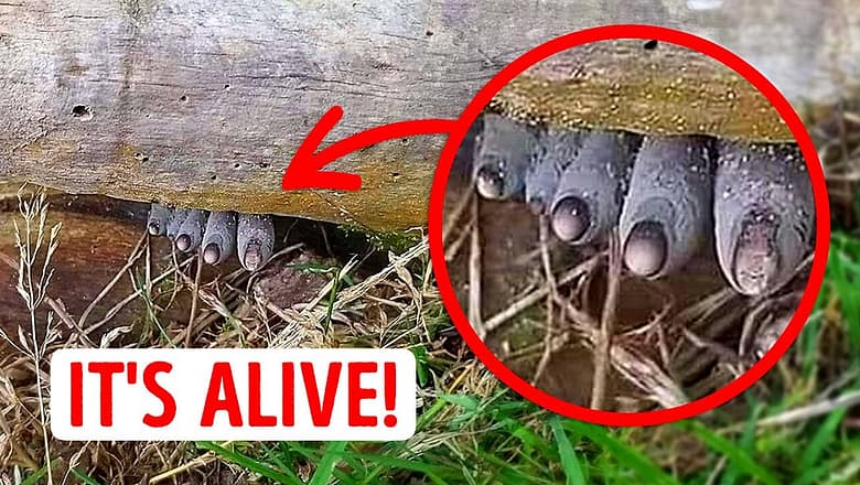 35+ Mysterious Natural Phenomena That Baffle Even Scientists