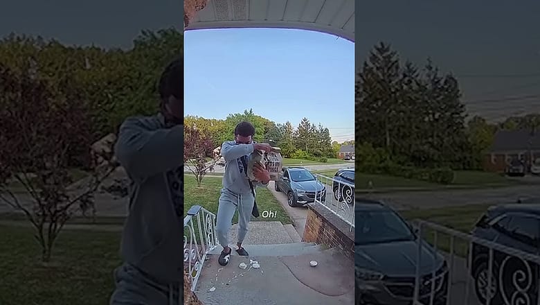 Doorbell camera catches dramatic reaction to food fail #Shorts