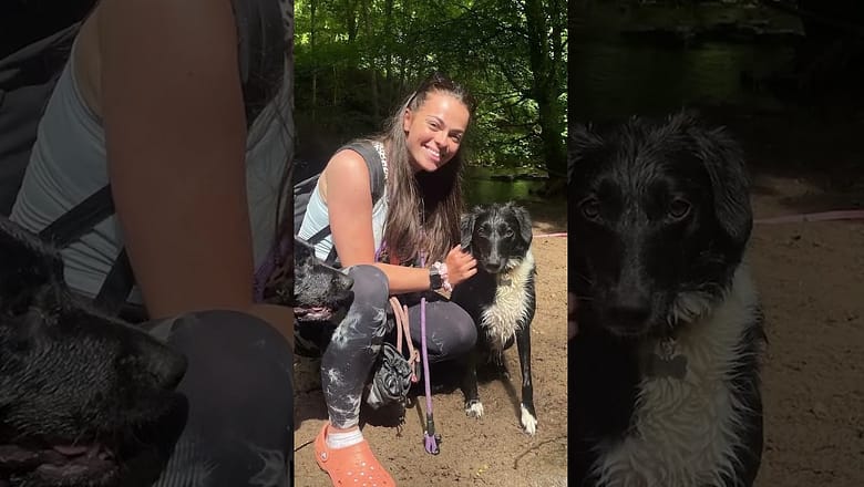 Dream job for dog lovers: Dog wedding chaperone #Shorts