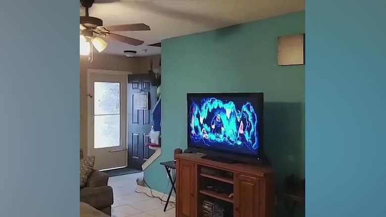 Halloween Pranks #shorst #funny
