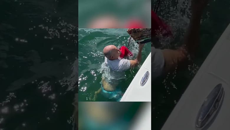 Heroic dad rescues a tangled sea turtle | Humankind #shorts #goodnews