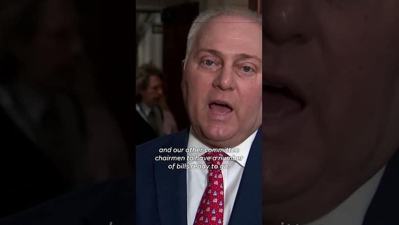 Scalise calls for unity as Republicans pick new speaker candidate #Shorts
