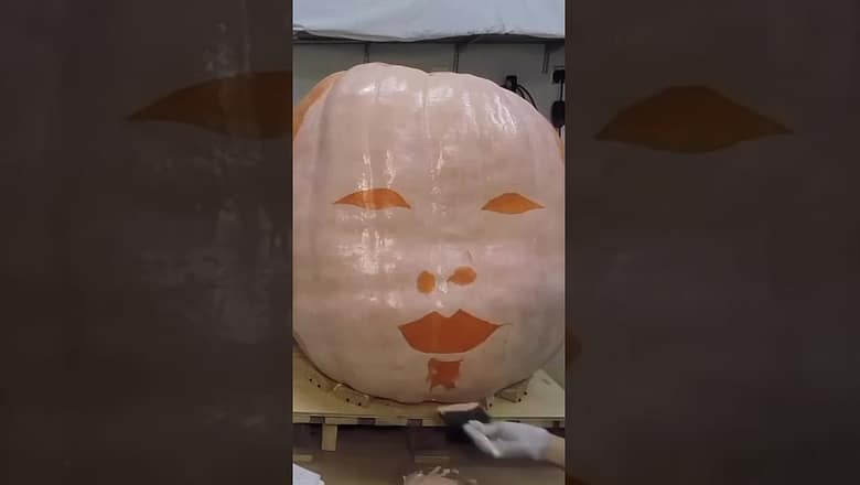 Timelapse video shows artist turning pumpkin into ‘Taylor Swiftkin’ #Shorts