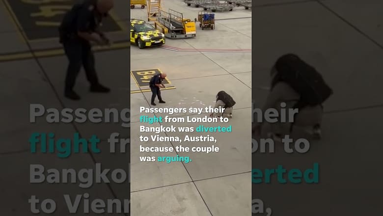 Watch: Woman throws over $6,000 on tarmac after argument diverts plane #Shorts