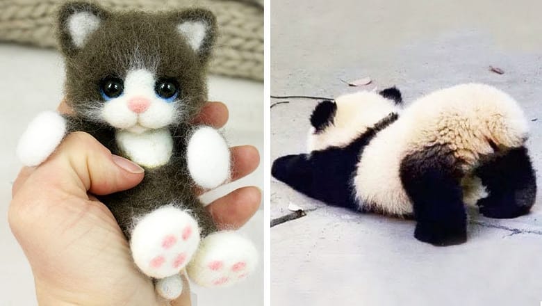 Cute Baby Animals Videos Compilation | Funny and Cute Moment of the Animals #6 – Cutest Animals 2023