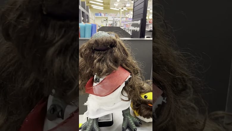 Day in the life of a dog on set