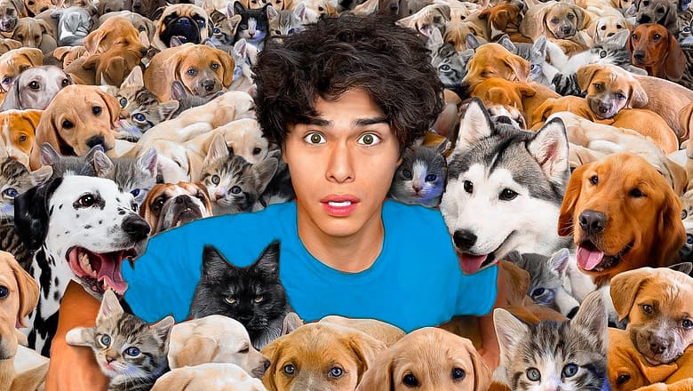I ADOPTED 100 PETS!!