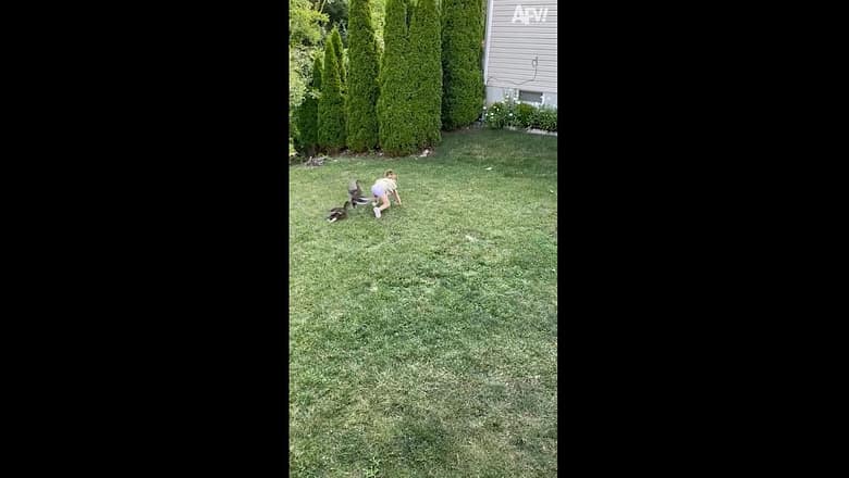 Snack Attack: Birds Make Off with Man’s Treats! ??? #Shorts