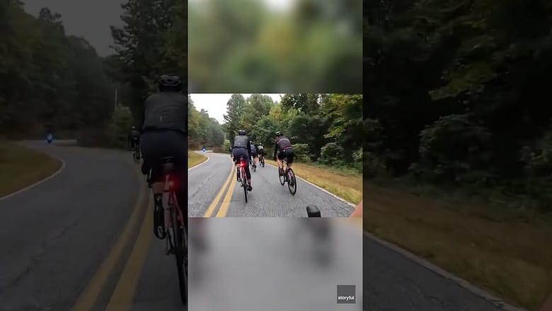 Startled cyclist nearly gets hit by deer after it jumps across road #Shorts