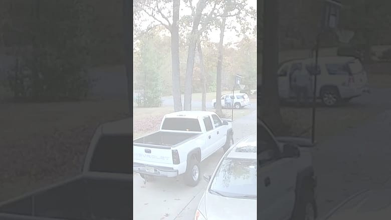 Watch: Deer leaps over cars, smashes into truck as buyer arrives #Shorts