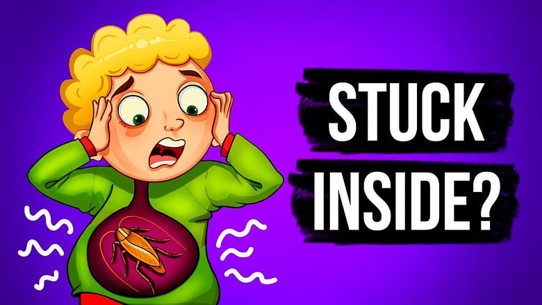 What If You Swallowed a Live Cockroach?