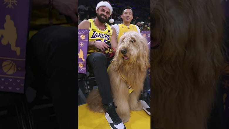 Call him MV-pup! Brodie the Goldendoodle entertains at Lakers game #Shorts