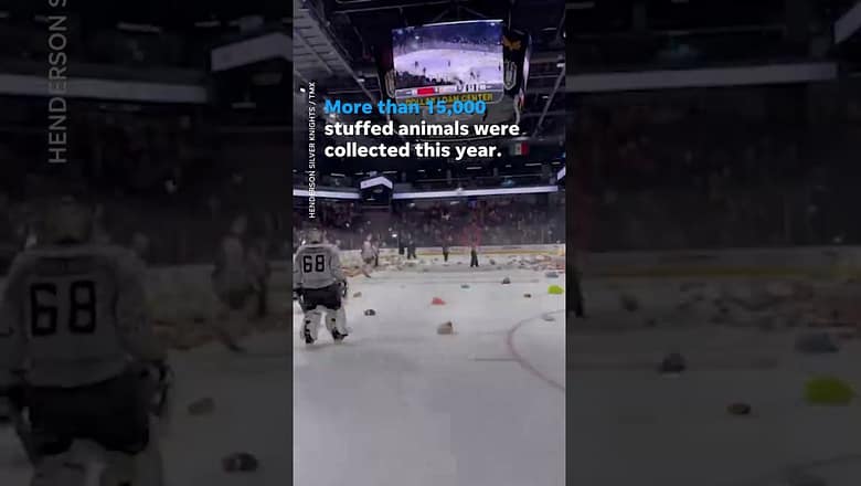 Fans help kids in need with stuffed animal toss at ice hockey game #shorts