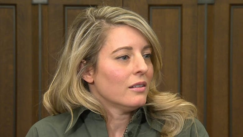 Israel-Hamas | Humanitarian pause ‘necessary’ to lead to peace talks: Joly