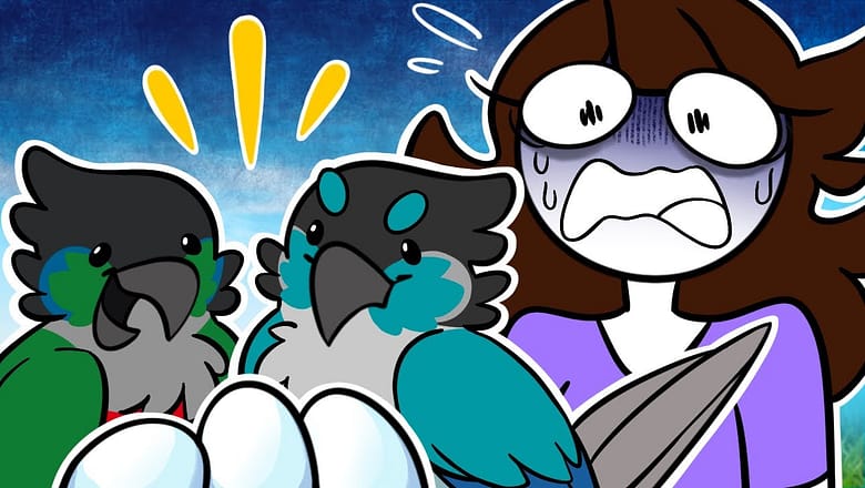 My Birds Laid Eggs…