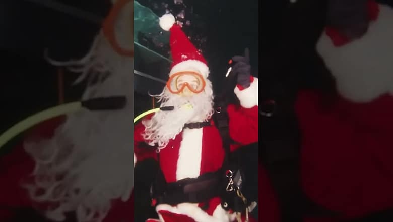 Santa visits sea creatures on his ‘nice’ list #Shorts