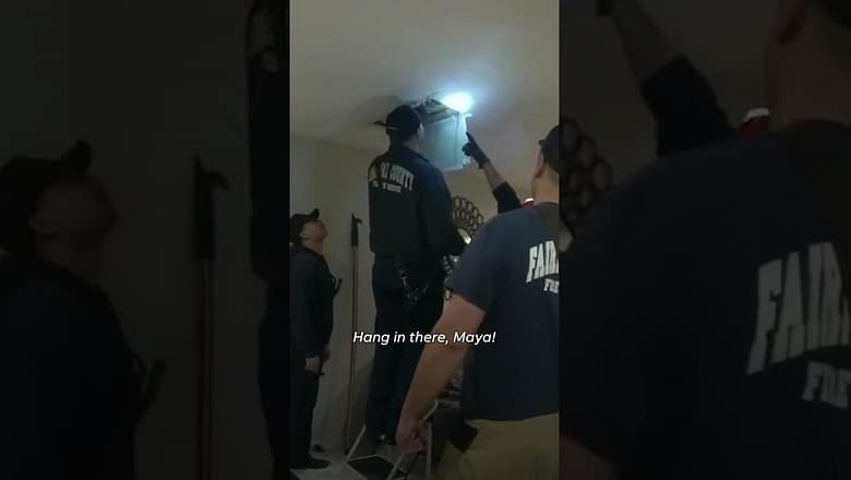 Shih Tzu bizarrely stuck in air vent is saved by first responders #Shorts