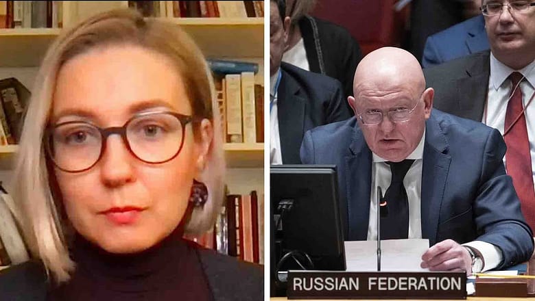 UN council ‘undermined’ by Russia’s presence: Ukrainian MP