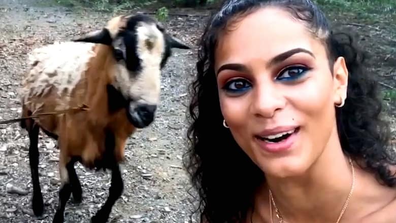 Best Fails of the Decade | Try Not to Laugh
